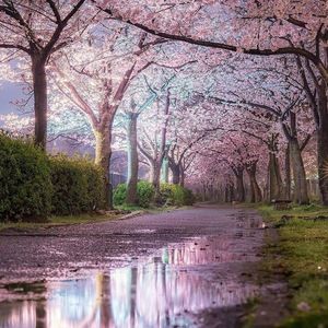 Meet your Posher, Cinnamon